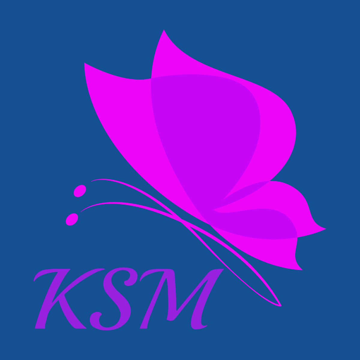 Logo para KSM